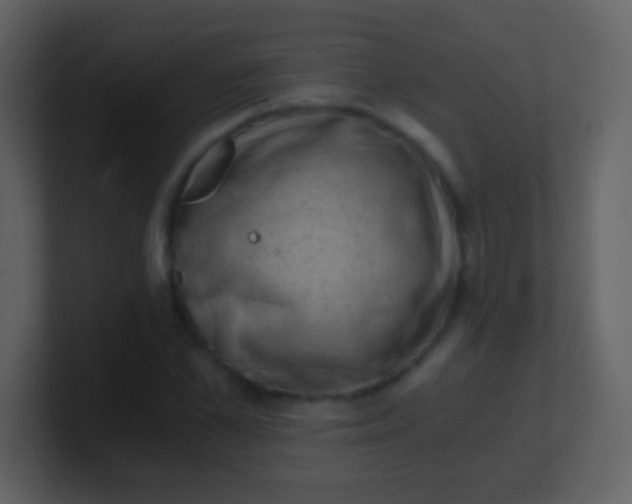 X0000100900973200807081059