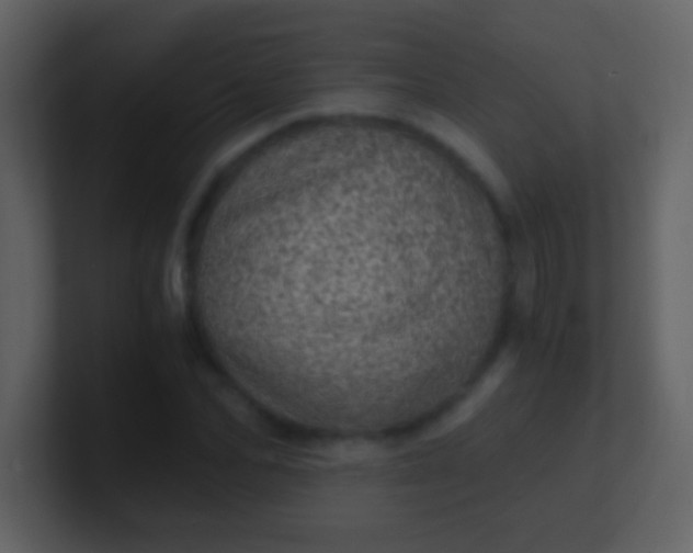 X0000100900974200807081059