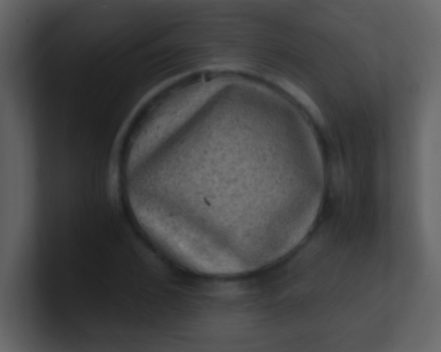 X0000100900976200807081059