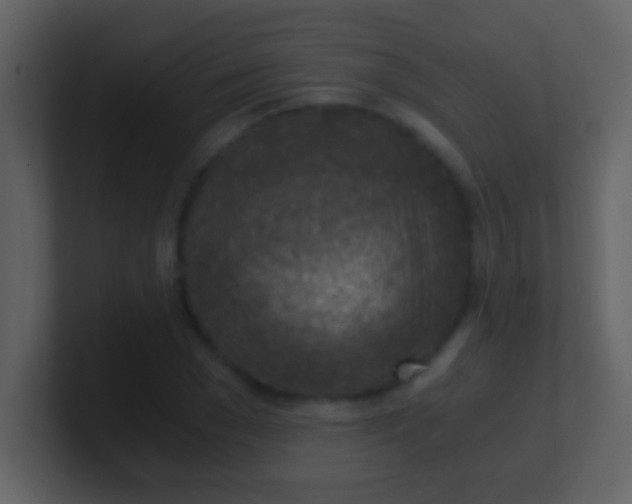 X0000100900977200807081059