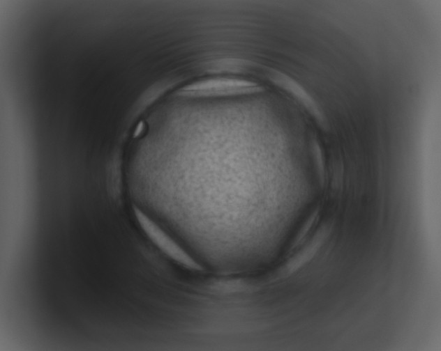 X0000100900978200807081059