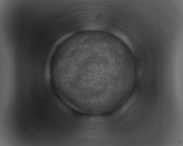 X0000100900979200807081059