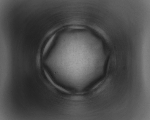 X0000100900982200807081059