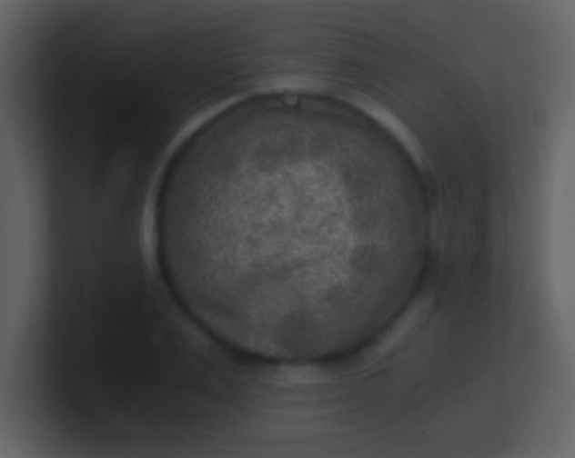 X0000100900983200807081059