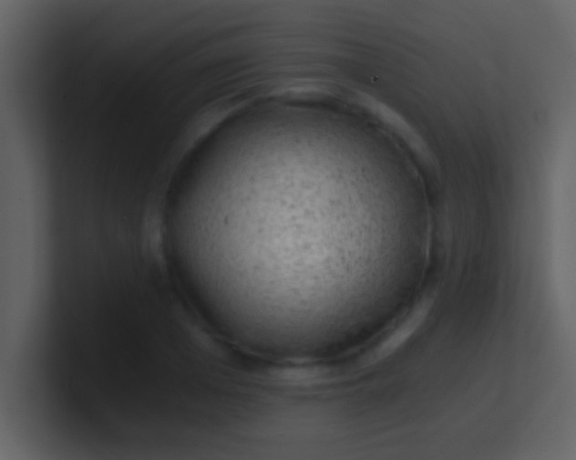 X0000100900985200807081059