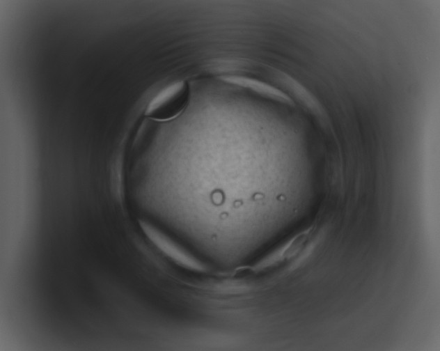 X0000100900986200807081059