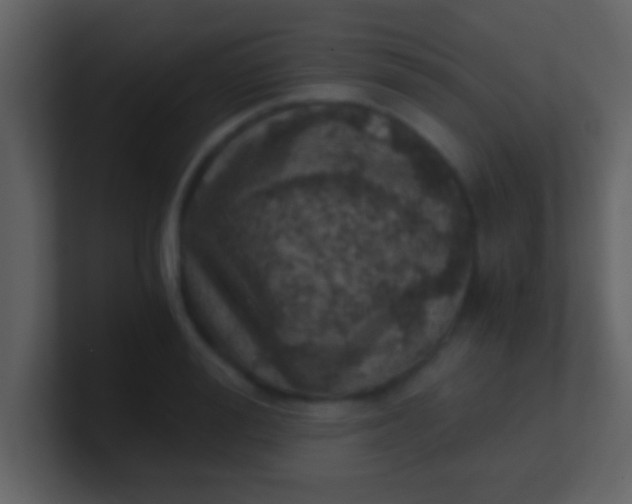 X0000100900988200807081059