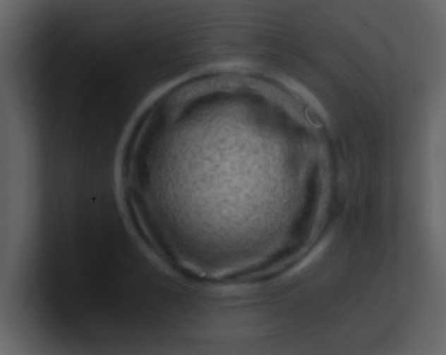 X0000100900989200807081059