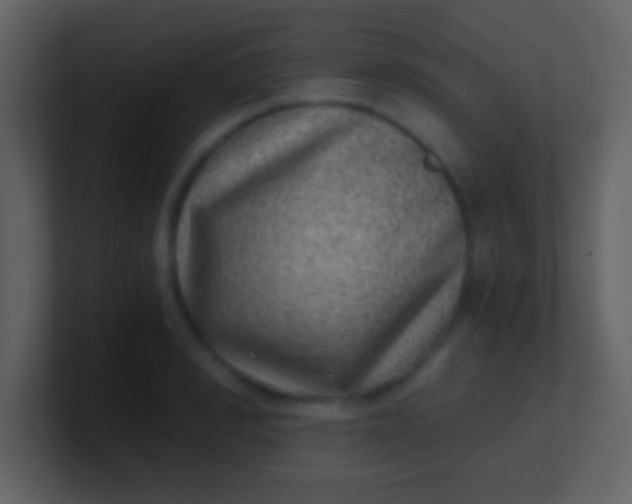 X0000100900990200807081059