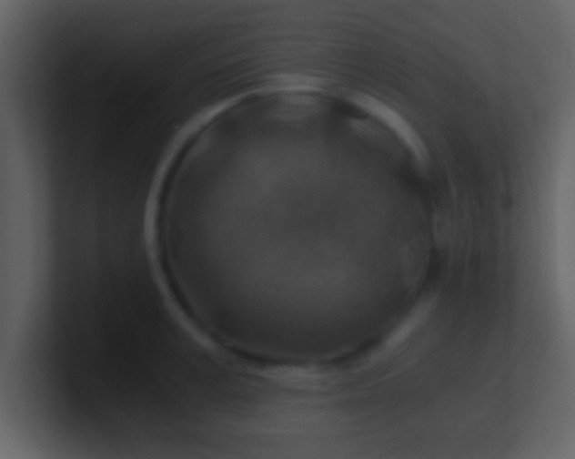 X0000100900995200807081059