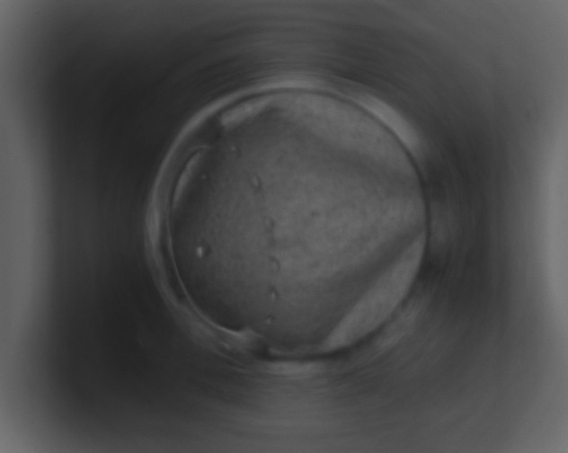 X0000100900996200807081059