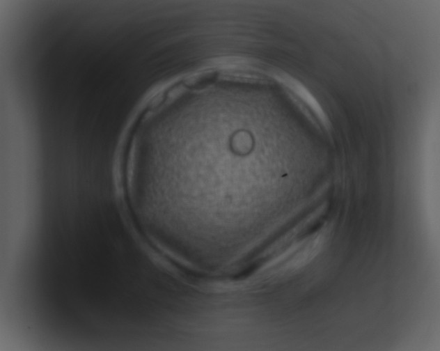 X0000100900997200807081059