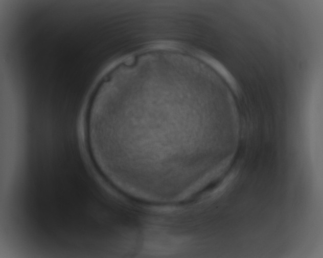 X0000100900999200807081058