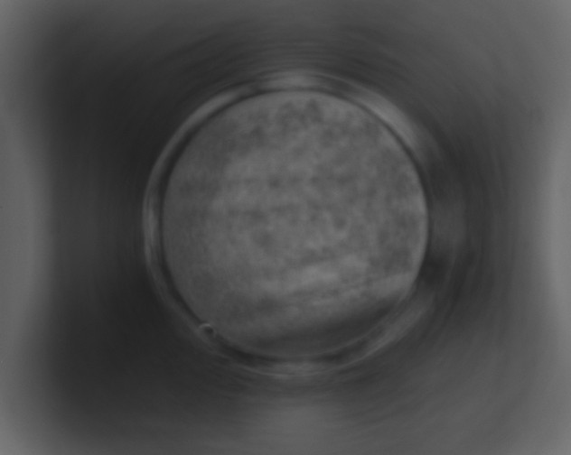 X0000100901000200807081058