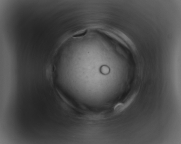 X0000100901001200807081058