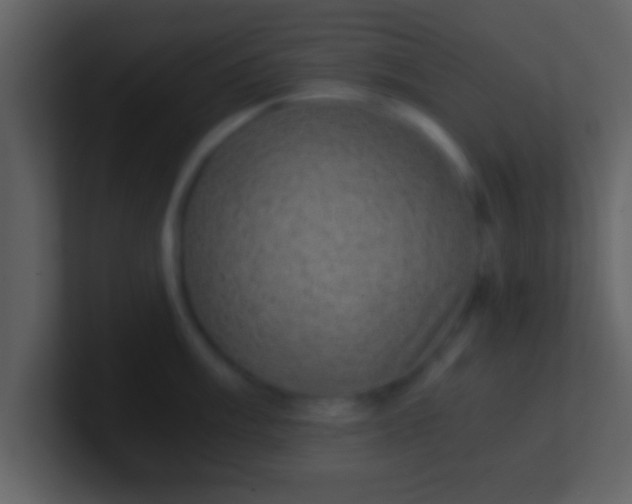 X0000100901003200807081058