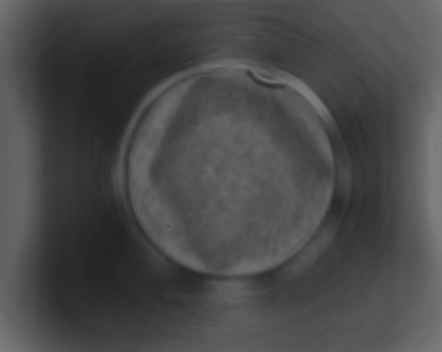 X0000100901004200807081058