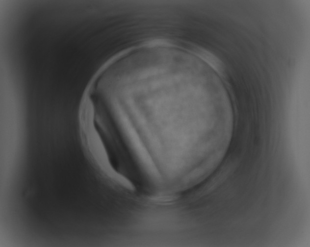 X0000100901008200807081058