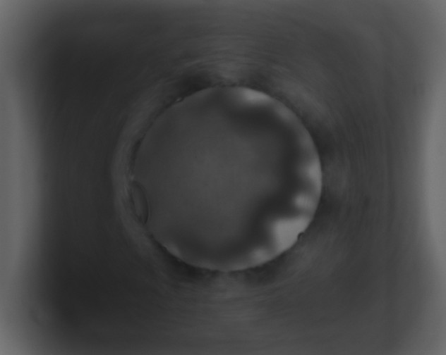 X0000100901009200807081058