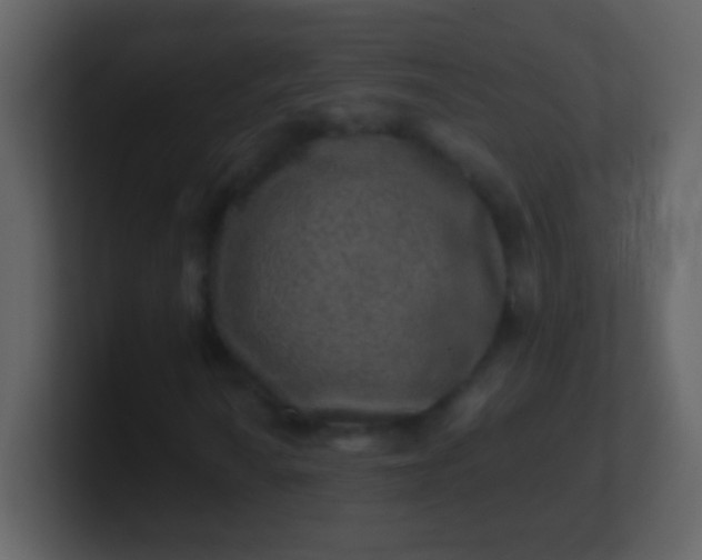 X0000100901010200807081058