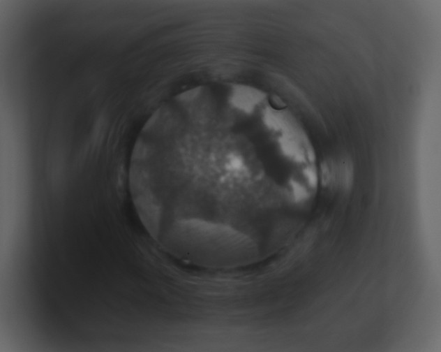 X0000100901011200807081058