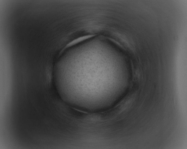 X0000100901012200807081058