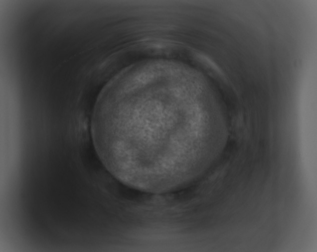 X0000100901013200807081058