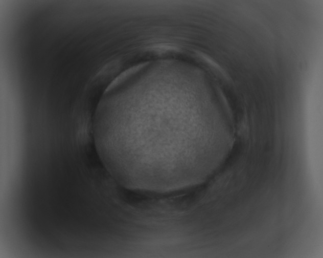 X0000100901014200807081058