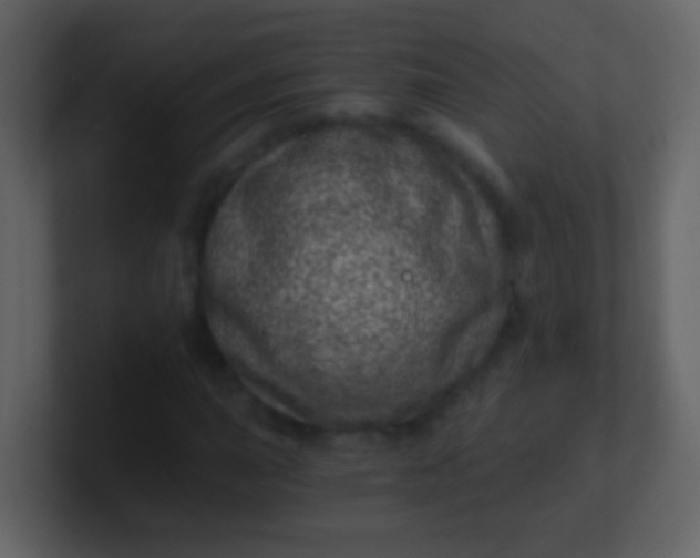 X0000100901015200807081058