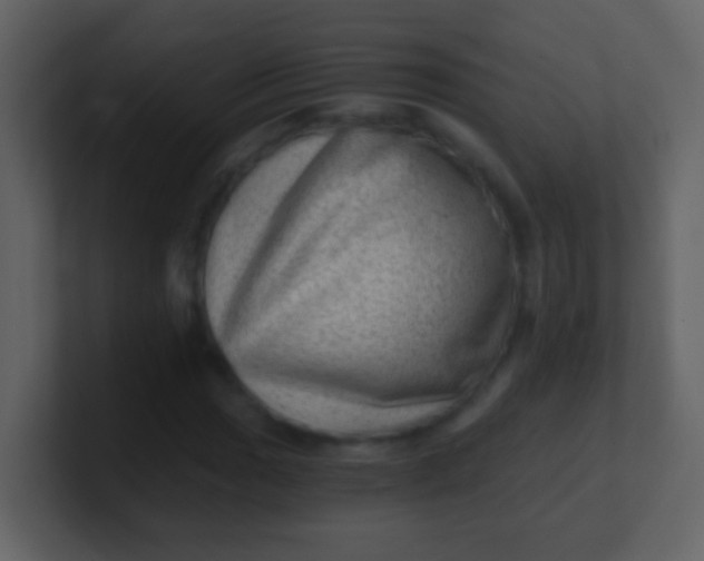 X0000100901017200807081058