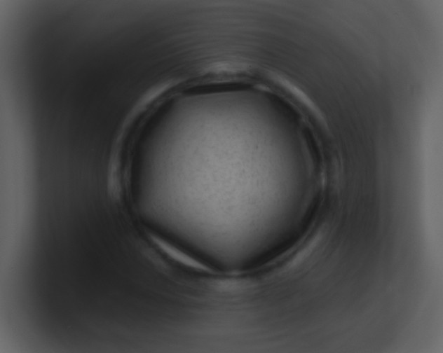 X0000100901018200807081058