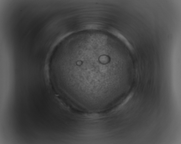 X0000100901019200807081058