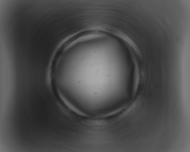 X0000100901020200807081058