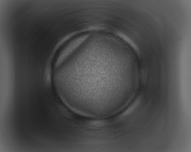 X0000100901021200807081058