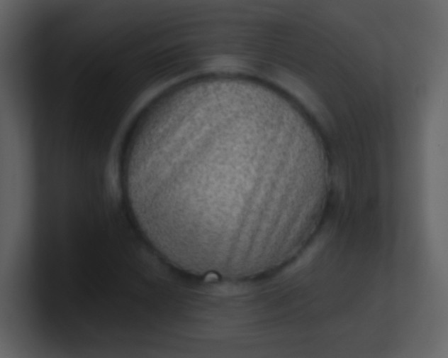 X0000100901022200807081058