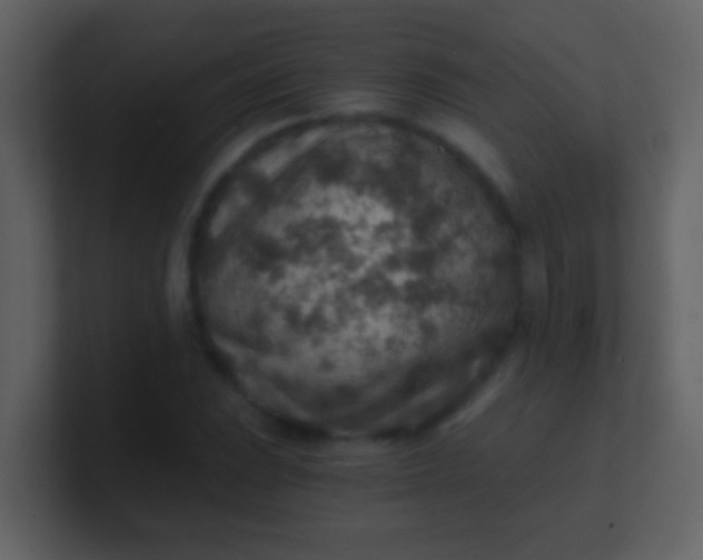 X0000100901023200807081058