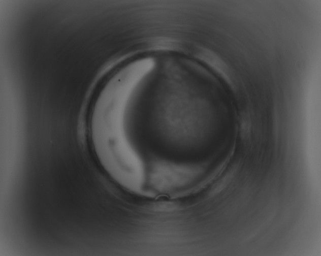 X0000100901024200807081058