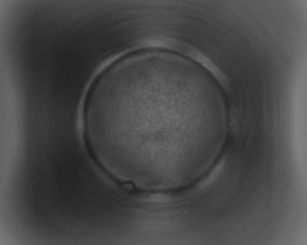 X0000100901028200807081058