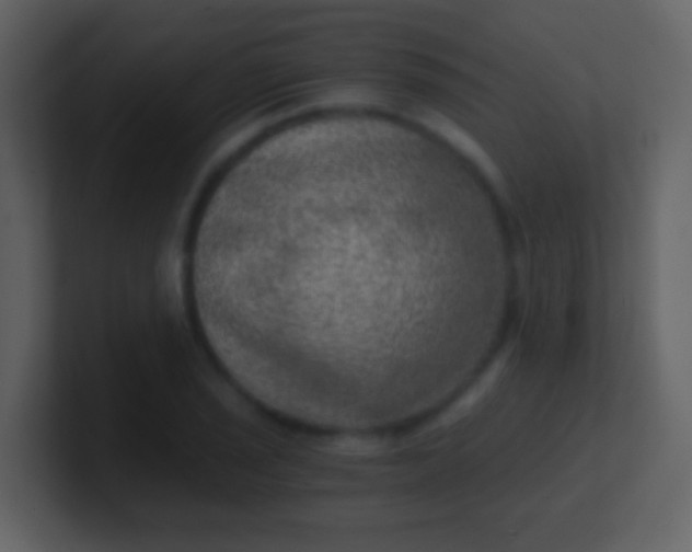 X0000100901029200807081058