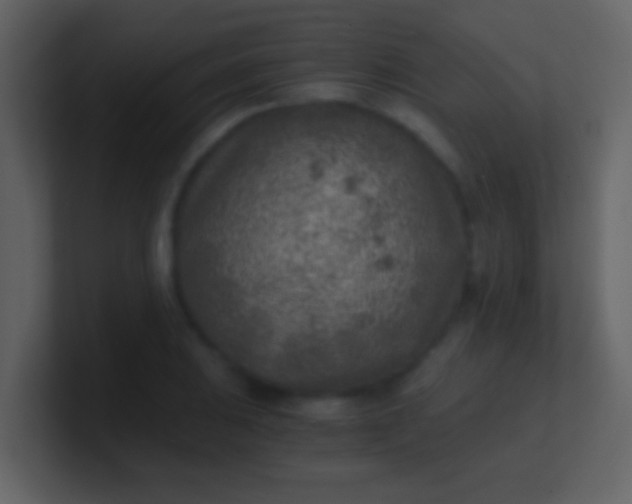 X0000100901031200807081058