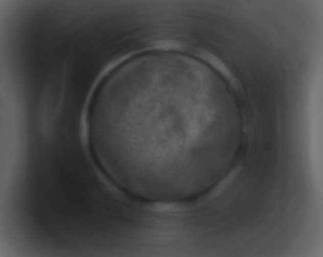 X0000100901032200807081058