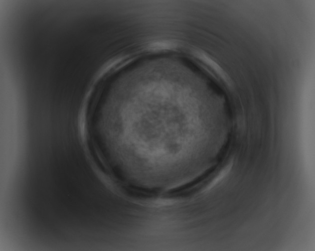 X0000100901034200807081058