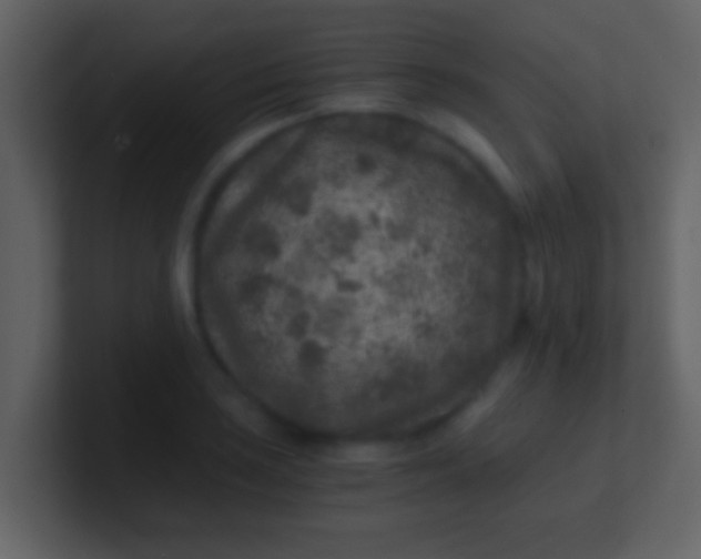 X0000100901035200807081058