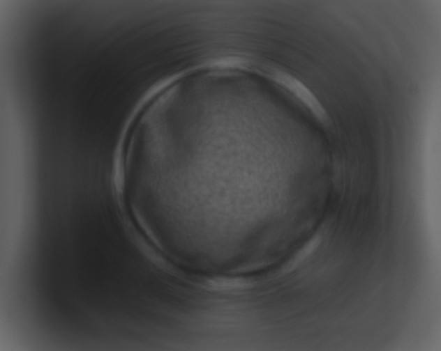 X0000100901036200807081058