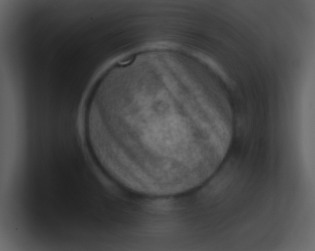 X0000100901038200807081058