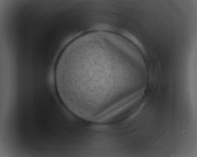 X0000100901040200807081058