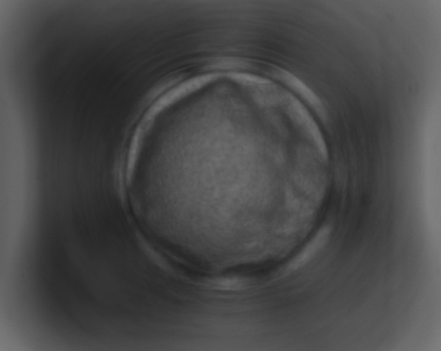 X0000100901041200807081058