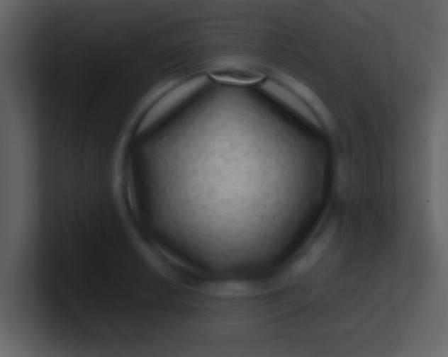 X0000100901042200807081058