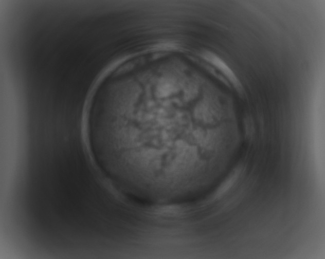 X0000100901043200807081058