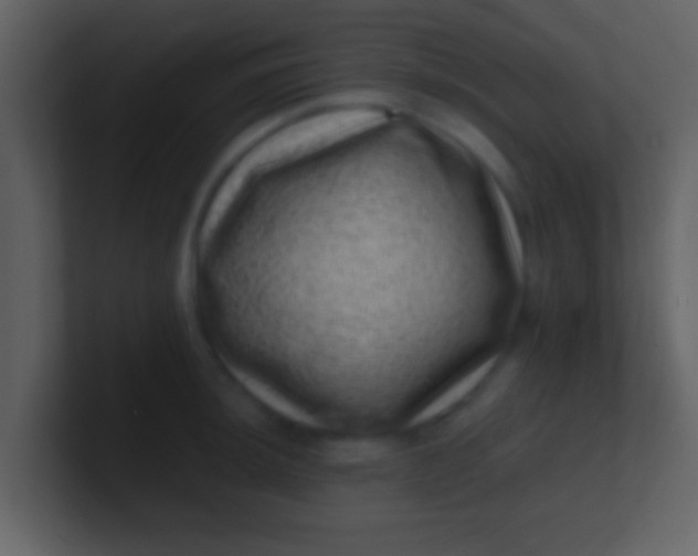 X0000100901044200807081058